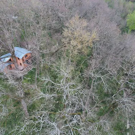 Cabane Perchee Les Cabanes De Fallot - Sauna Bain-Froid Piscine Naturelle L'isle-Bouzon Exterior foto