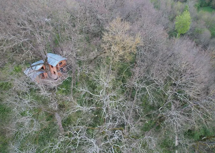 Cabane Perchee Les Cabanes De Fallot - Sauna Bain-Froid Piscine Naturelle