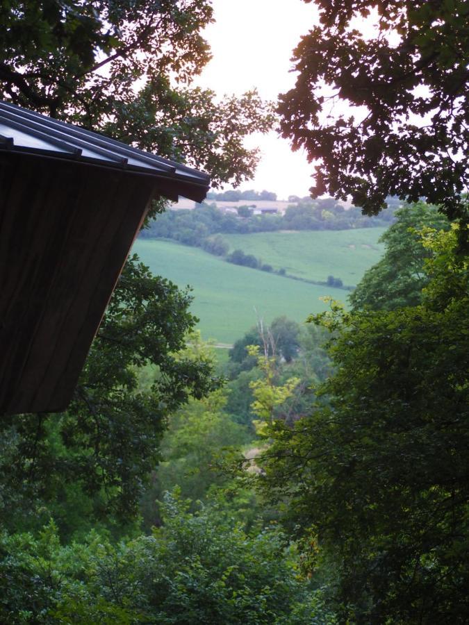 Perchee Les De Fallot - Sauna Bain-froid Piscine Naturelle *