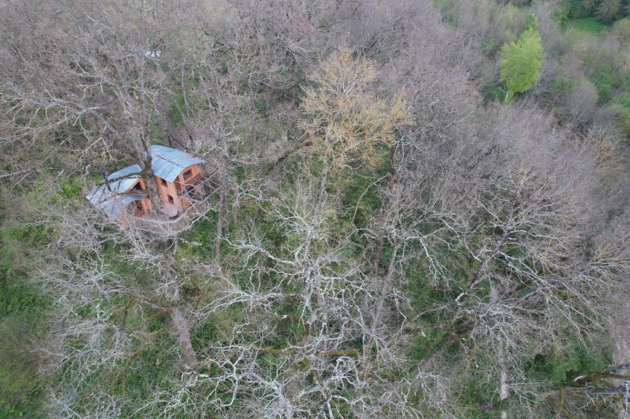 Perchee Les De Fallot - Sauna Bain-froid Piscine Naturelle Chalet *